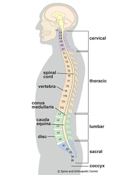 Transforming Lives with the Leading Spine Speciali Dr. Gaurv Sharma