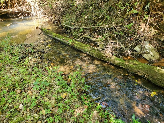 Old-Hollis-Creek Picture Box