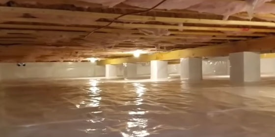 Waste management service Tru Basement Waterproofing Inc.