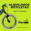 Alquiler bicicleta de monta... - Picture Box