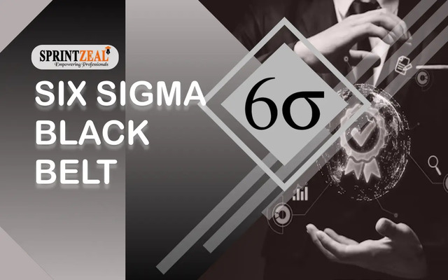 Six Sima Black Belt SPRINTZEAL six sigma black belt