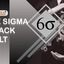 Six Sima Black Belt - SPRINTZEAL six sigma black belt