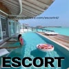 Dominican Republic Escort M... - Picture Box