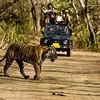 Nainital Jim Corbett Park