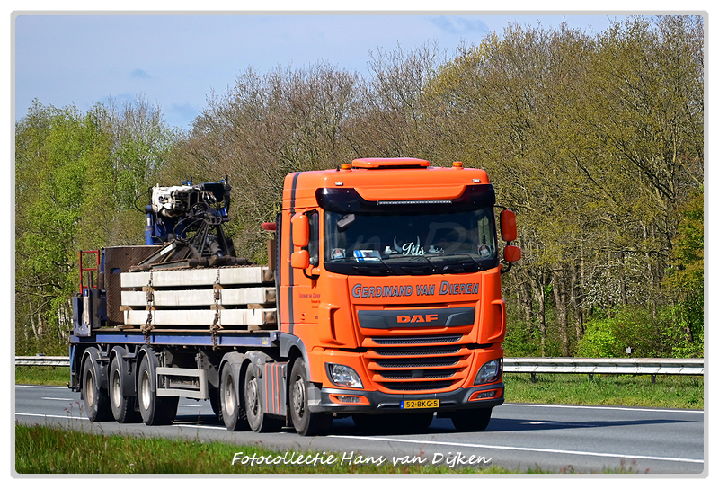 Dieren van Gerdinand 52-BKG-5-BorderMaker - 