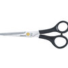 Best Salon scissors