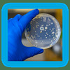 microbiology-testing-lab-in... - Picture Box