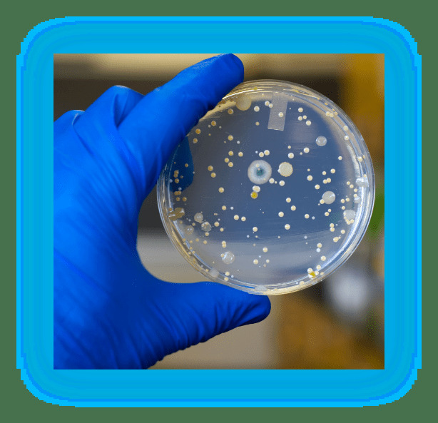 microbiology-testing-lab-in-houston Picture Box