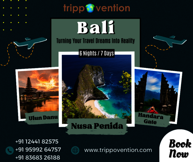 Bali Packages Picture Box