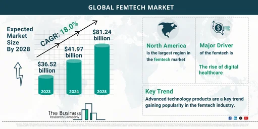 240207 GMR H Femtech Market TBRC