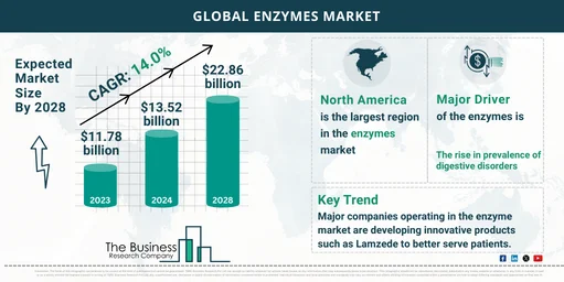 240207 GMR H Enzyme Market TBRC