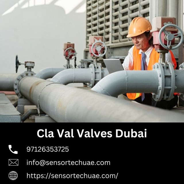 Mastering Flow Control Cla Val Valves Dubai  Senso Picture Box