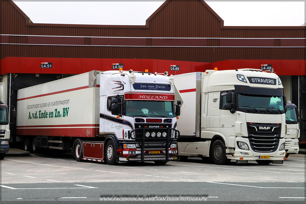 jaadoe (1)-BorderMaker - 