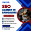 SEO Agency in Bangalore - SEO Services in your Bangalore city!