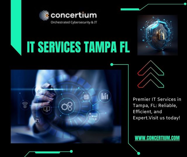 IT Services Tampa Fl IT Services Tampa