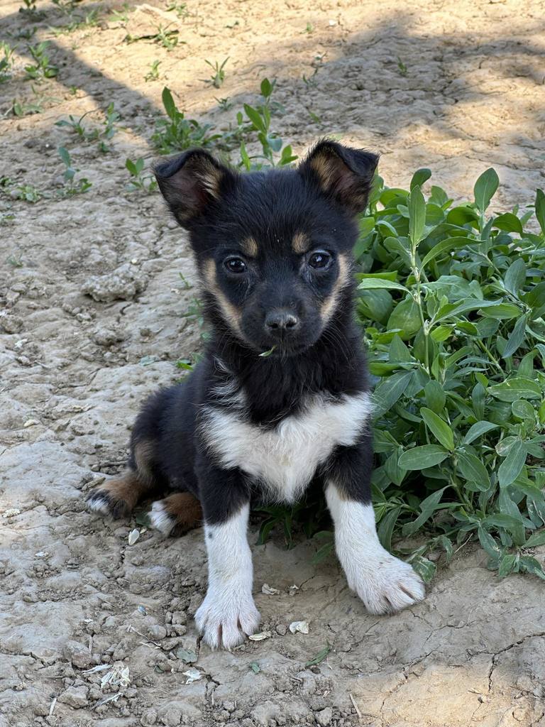 438109258 825231346306705 762260315126111783 n - 