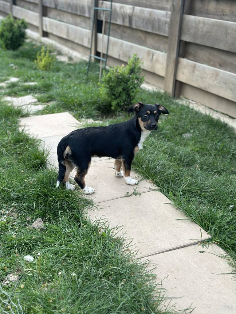 437392358 447578157632468 6394251956658083121 n - 