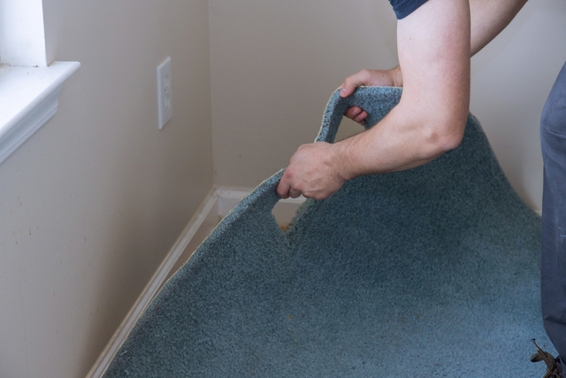10 Signs It's Time for Carpet Replacement Carpets Online