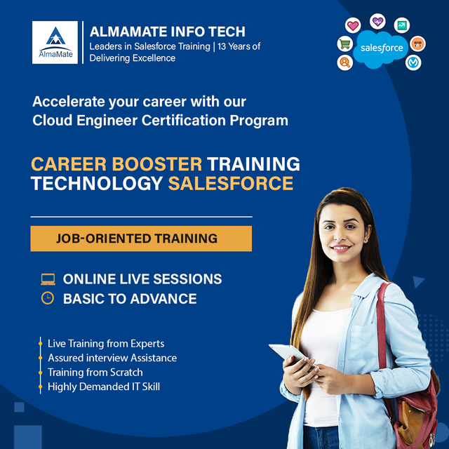 Almamate - Best Salesforce Training institute in N ALmamate: Best Salesforce training