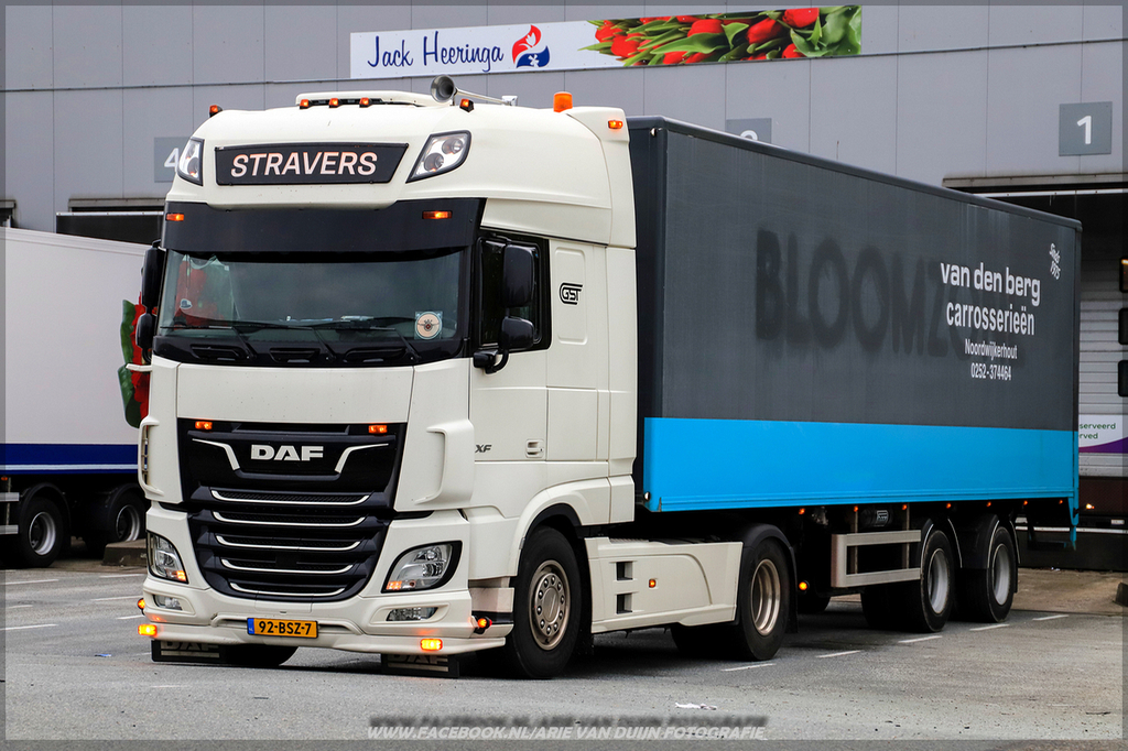 manda (3)-BorderMaker - 