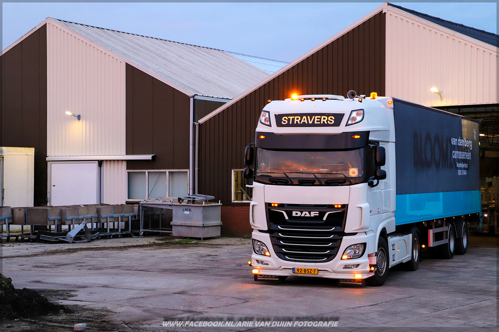 Straverr (10)-BorderMaker - 