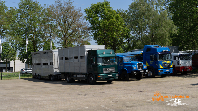 MAN Treffen Hengelo powered by www.truck-pics MAN Treffen 2024 Hengelo, GÃ¶ritzlehner Truck & Bus BV, Wessels transportbedrijf B.V.