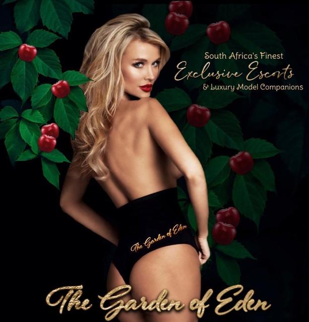 Discreet escort Sandton | thegardenofeden.co Picture Box