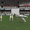 download (2) - cricket
