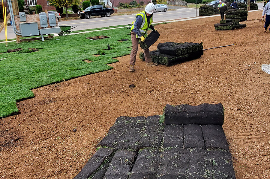Professional-Sod-Installation Picture Box