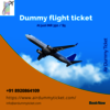 Dummy Flight Ticket - Dummy flight ticket