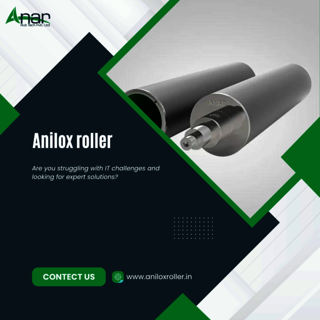 Top Performance Anilox Rollers for Flexographic Pr Picture Box