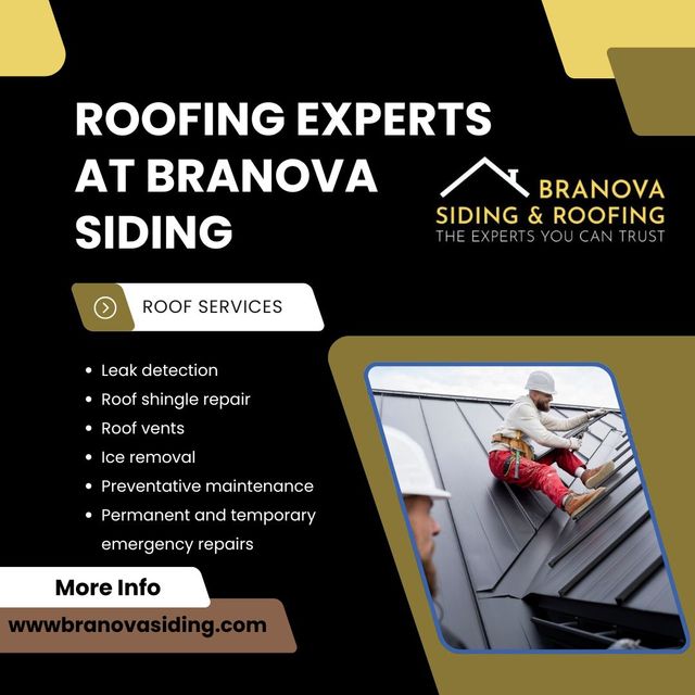 Roofing Experts At Branova Siding Picture Box