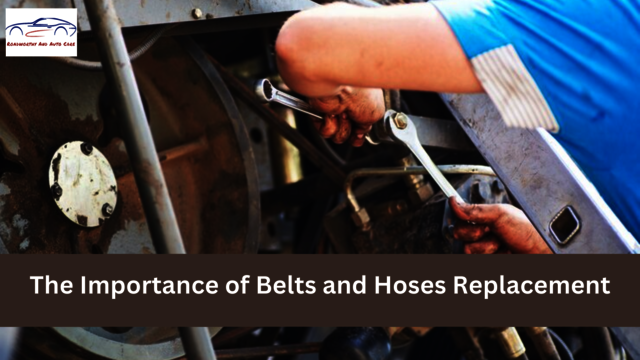 Belts and Hoses Picture Box