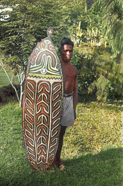 Young man with shield-b photoshop