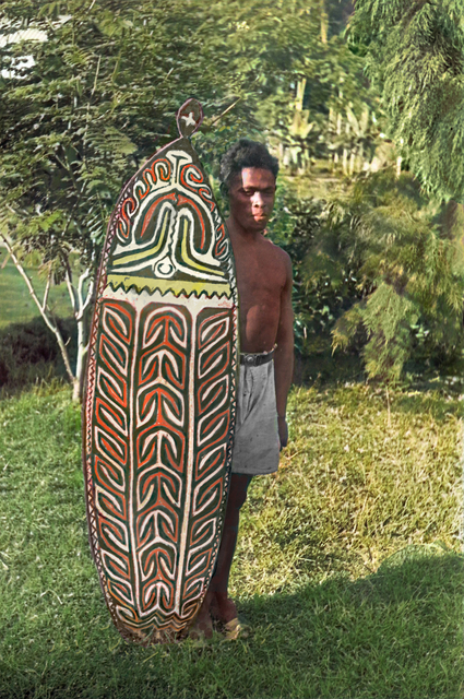 Young man with shield photoshop
