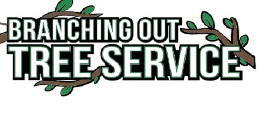 Tree service Picture Box