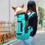 dog-carrier - Pet Essentials Online