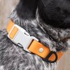 crimson-glow-waterproof-dog... - Pet Essentials Online
