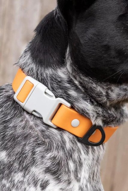 crimson-glow-waterproof-dog-collar Pet Essentials Online