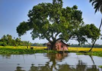 Eco Tours Operator India Eco Tours Operator India