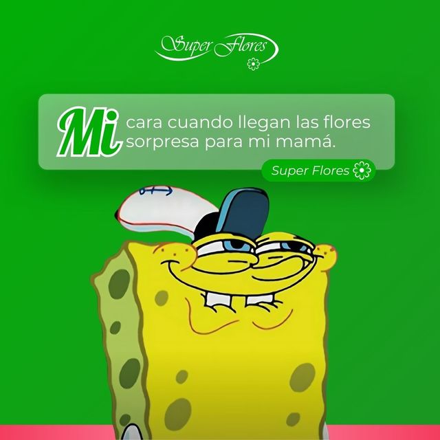 Entrega de flores para el DÃ­a de la Madre en Sant Picture Box