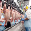 IMG poultryfacilityinbrazil... - FROZEN CHICKEN EXPORTERS IN...