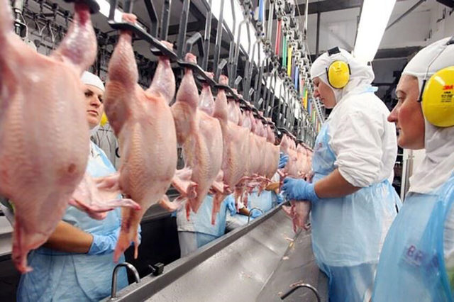 IMG poultryfacilityinbrazil-The Unbeatable Rise of FROZEN CHICKEN EXPORTERS IN BRAZIL