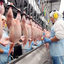 IMG poultryfacilityinbrazil... - FROZEN CHICKEN EXPORTERS IN BRAZIL