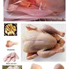 FROZEN CHICKEN EXPORTERS IN BRAZIL