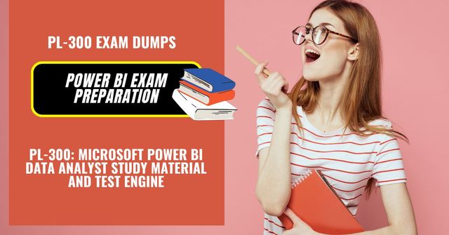 PL-300 Exam Dumps Picture Box