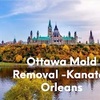 download (2) - Ottawa Mold Removal -Kanata...