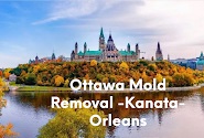 download (2) Ottawa Mold Removal -Kanata-Orleans