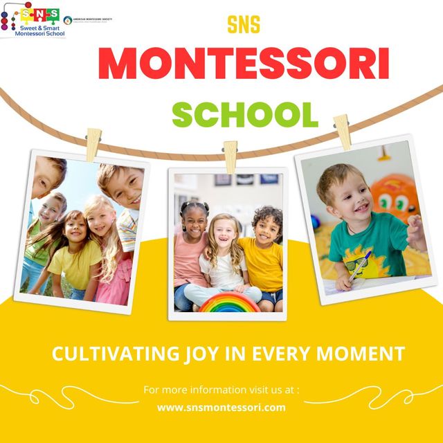 Sns Montessori Picture Box