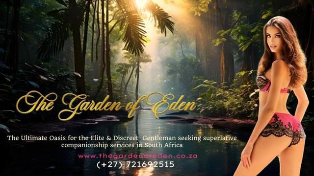 GFE (Girlfriend Experience) Escorts Cape Town | th Picture Box